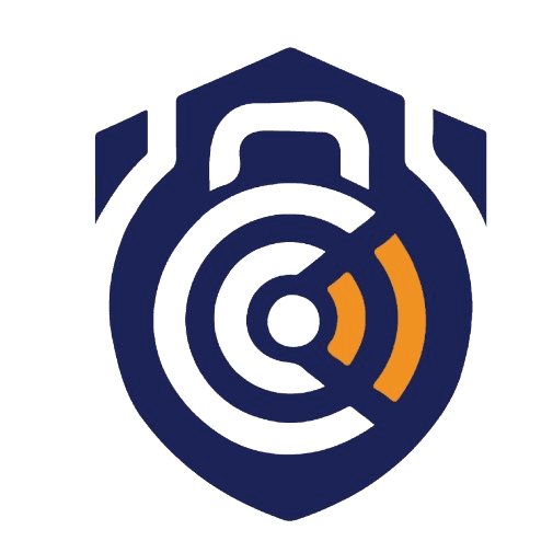 Cybersecurity professionals
